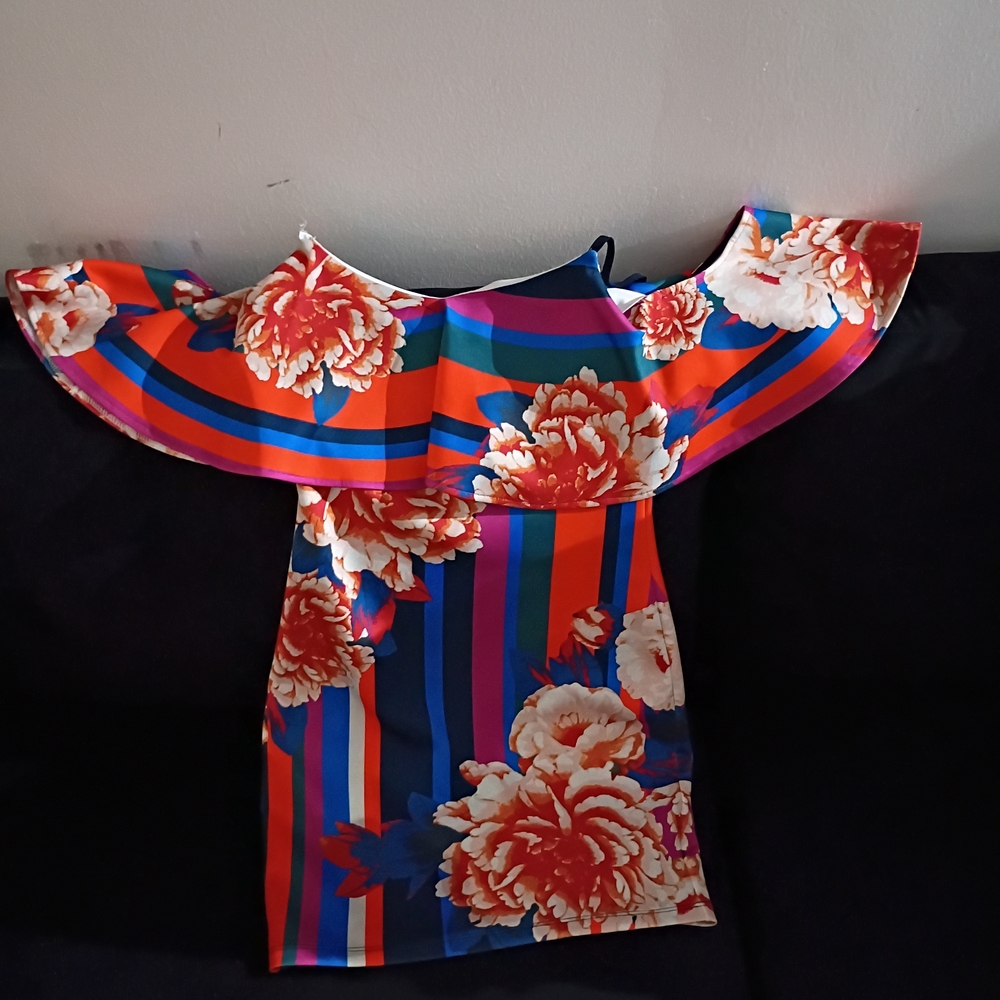 AKIRA Multicolor Floral Dress